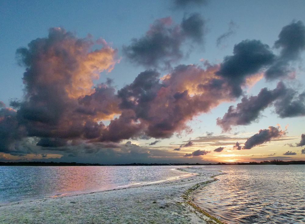 Click to See Next Image